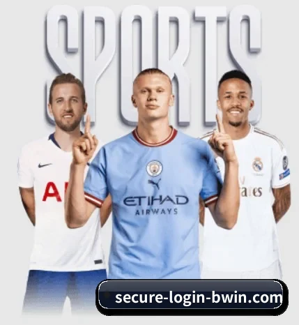 我们在做什么 | Bwin
